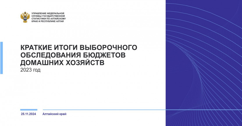 Краткие итоги выборочного обследования бюджетов домашних хозяйств в Алтайском крае. 2023 год